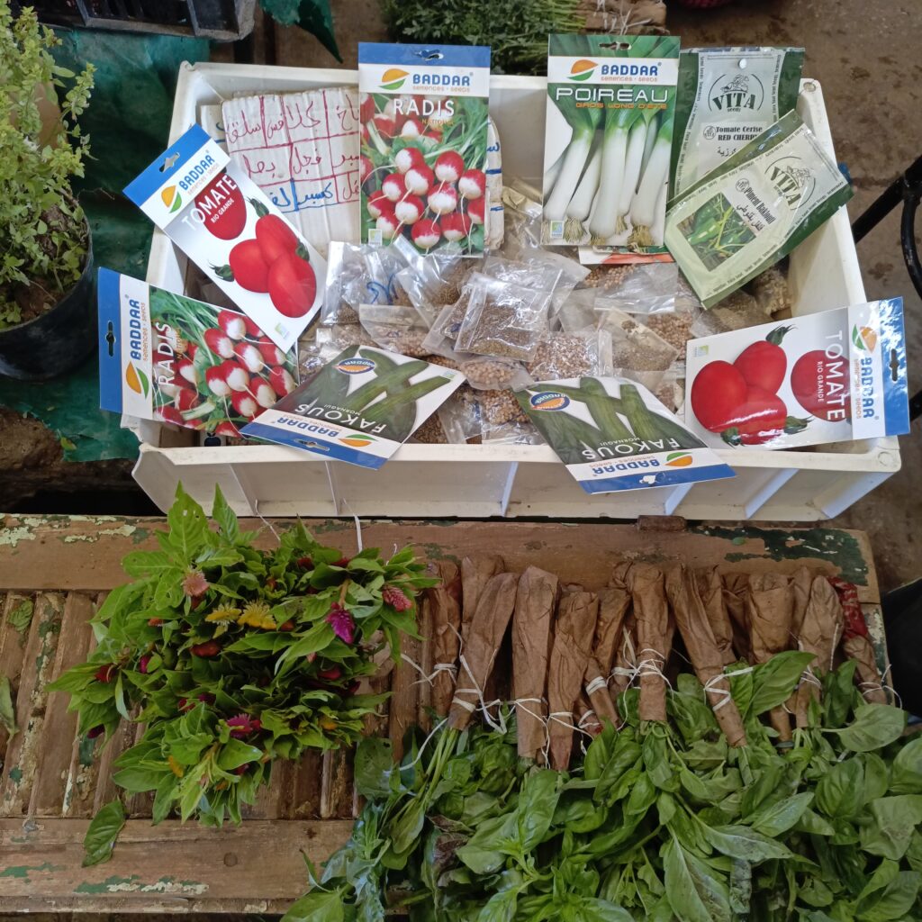 زيارة طبيب الأسنان…