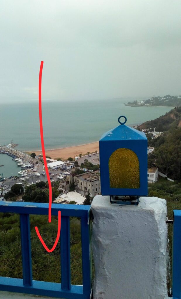 مشي يوم الأحد :سوق المنصف باي للحيوانات+مطعم ولد الكوميسار