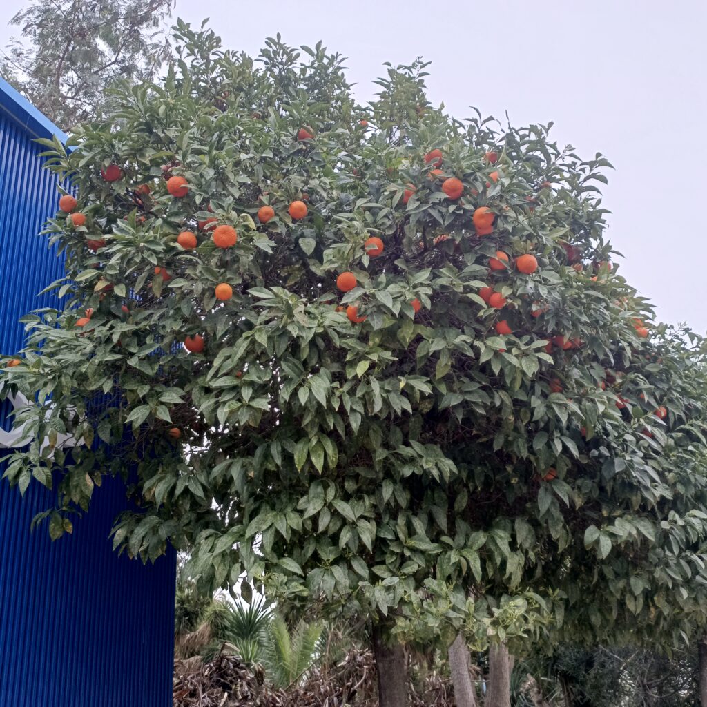 سيدي بوسعيد تحت المطر…