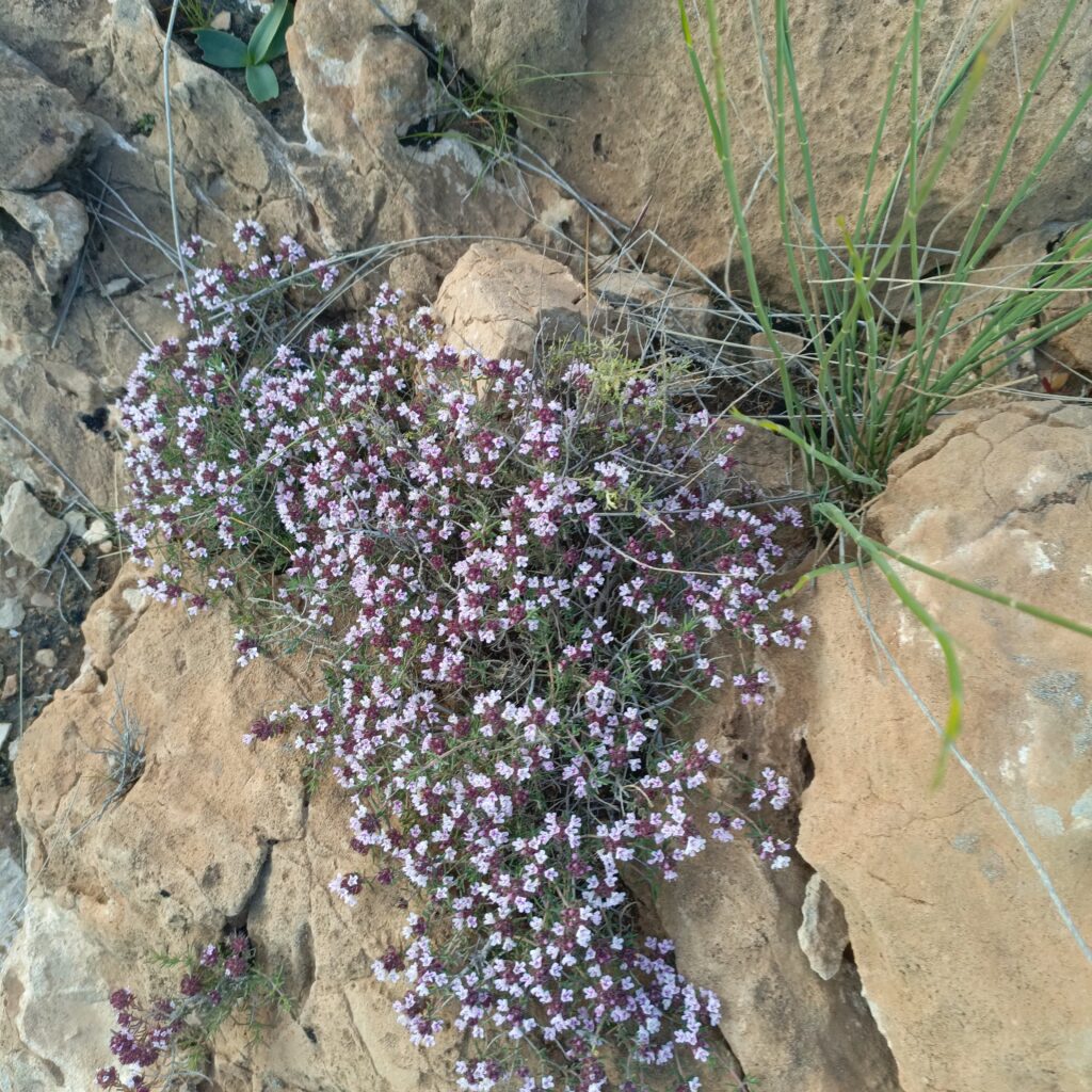 صور إلتقطتها العشر أيام الفارطة