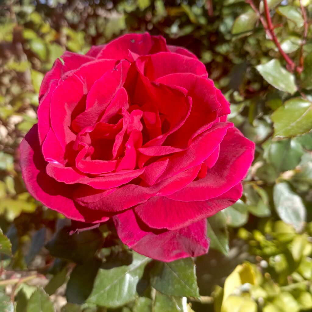 تغيير بلور النظارة…